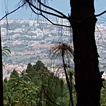 Finca La Casita La Orotava Zewnętrze zdjęcie
