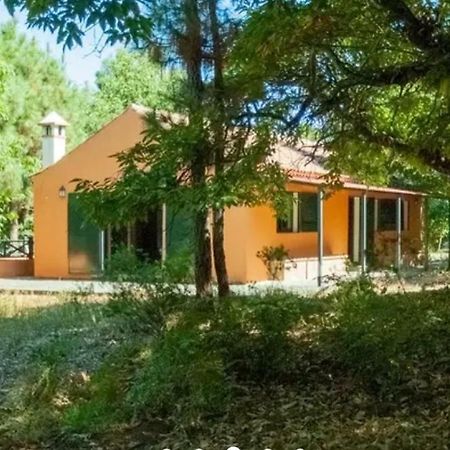 Finca La Casita La Orotava Zewnętrze zdjęcie
