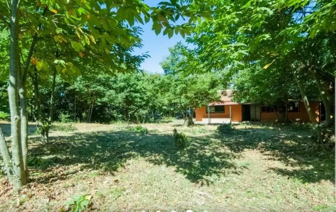 Finca La Casita La Orotava Zewnętrze zdjęcie