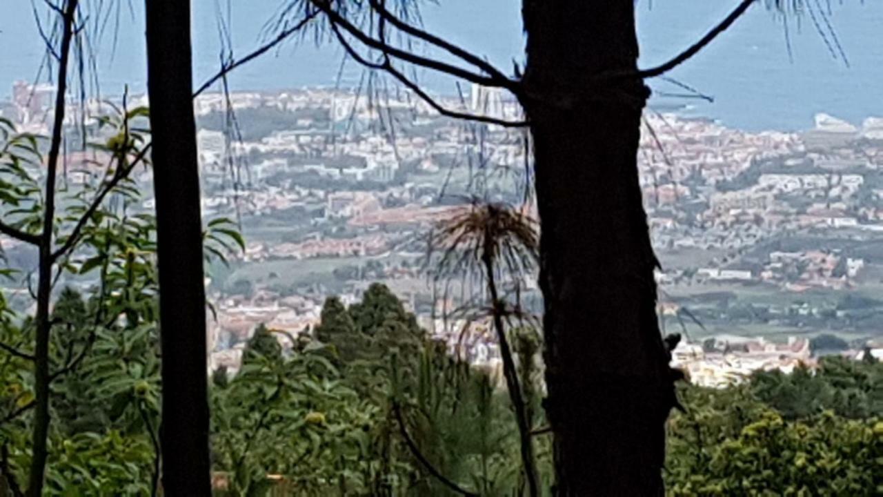 Finca La Casita La Orotava Zewnętrze zdjęcie