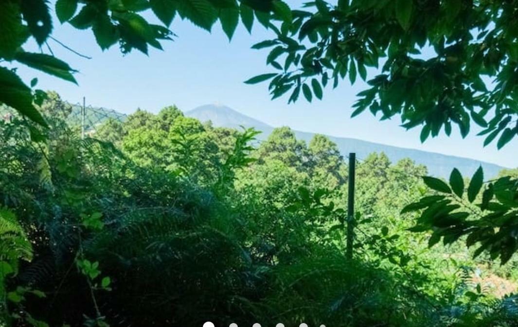 Finca La Casita La Orotava Zewnętrze zdjęcie