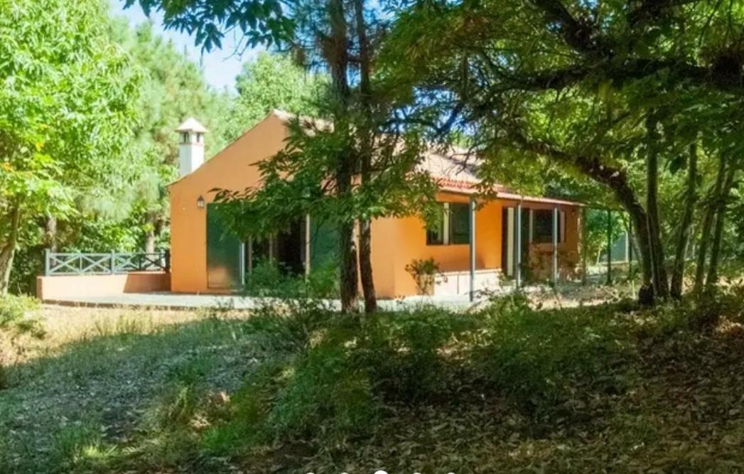 Finca La Casita La Orotava Zewnętrze zdjęcie